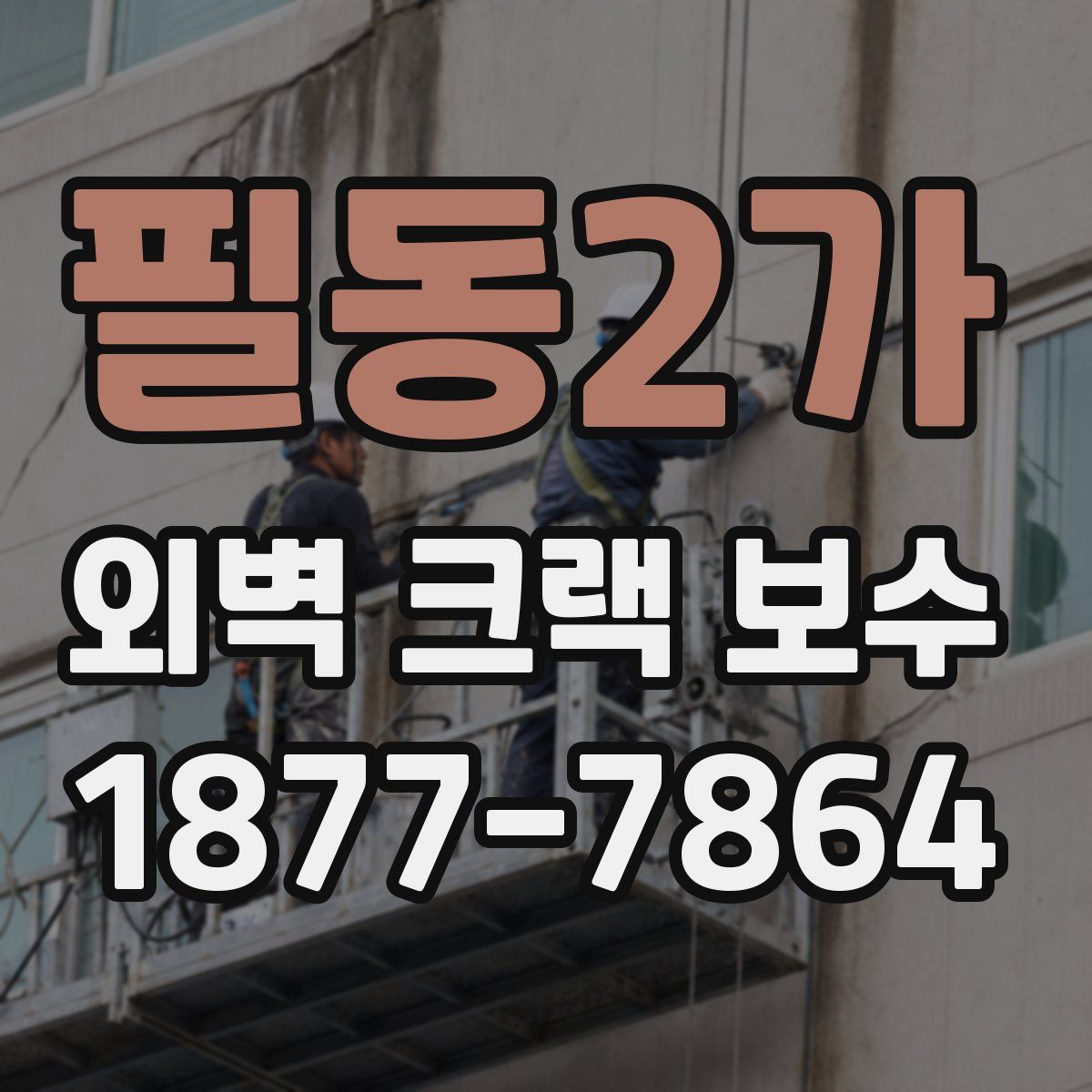 필동2가 외벽 크랙 보수