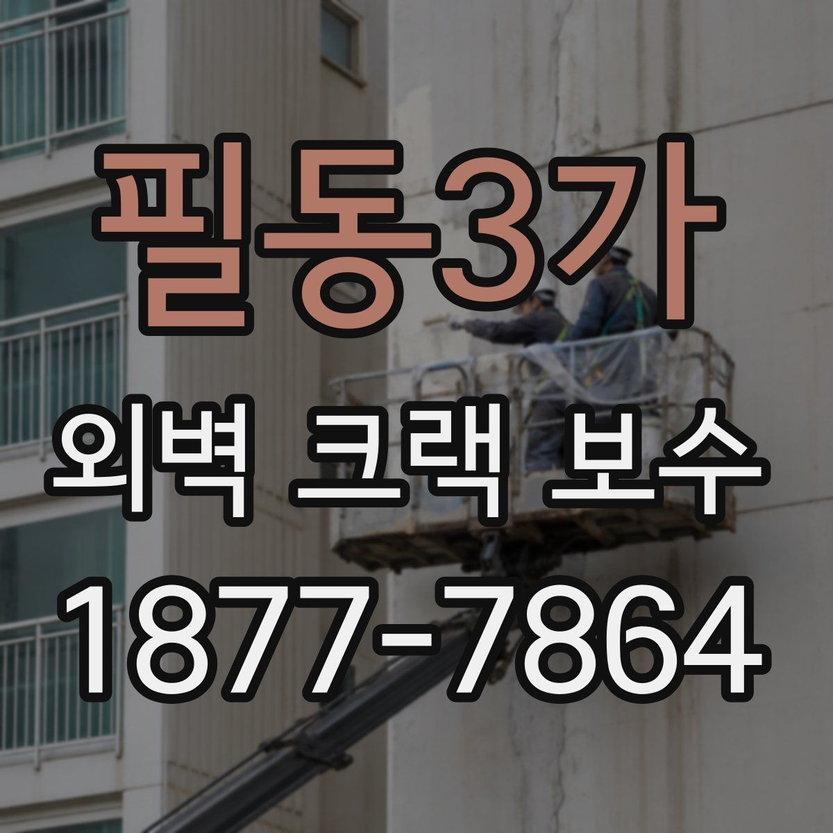 필동3가 외벽 크랙 보수