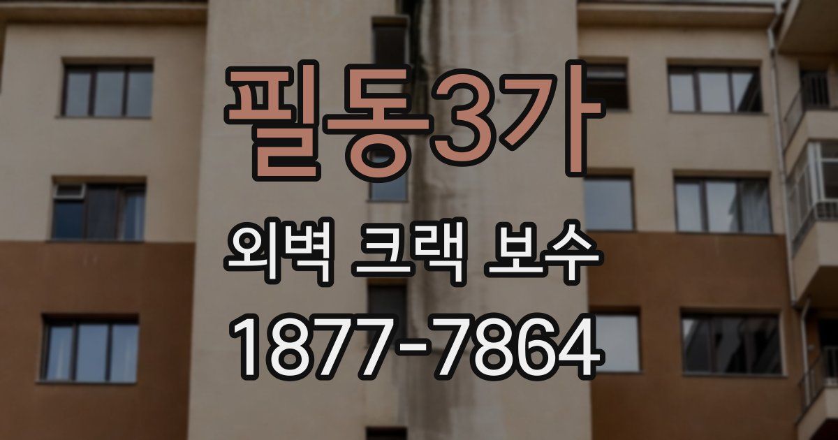 필동3가 외벽 크랙 보수