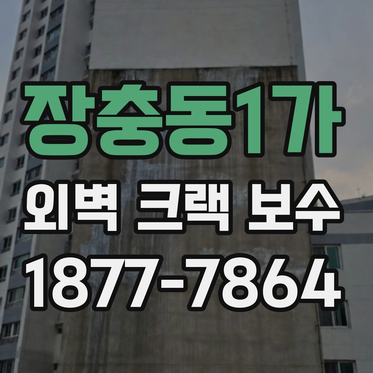 장충동1가 외벽 크랙 보수