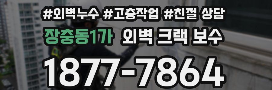 장충동1가 외벽 크랙 보수