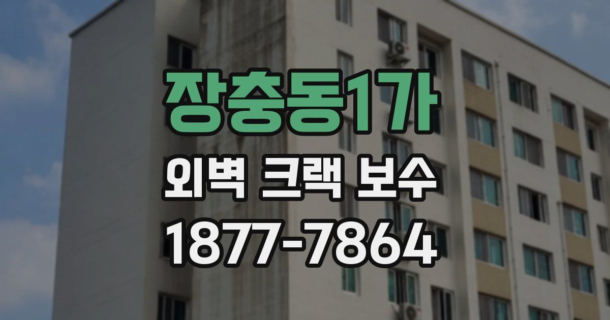 장충동1가 외벽 크랙 보수