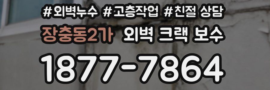 장충동2가 외벽 크랙 보수