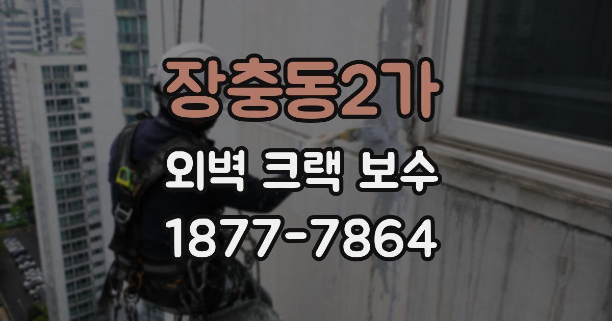 장충동2가 외벽 크랙 보수