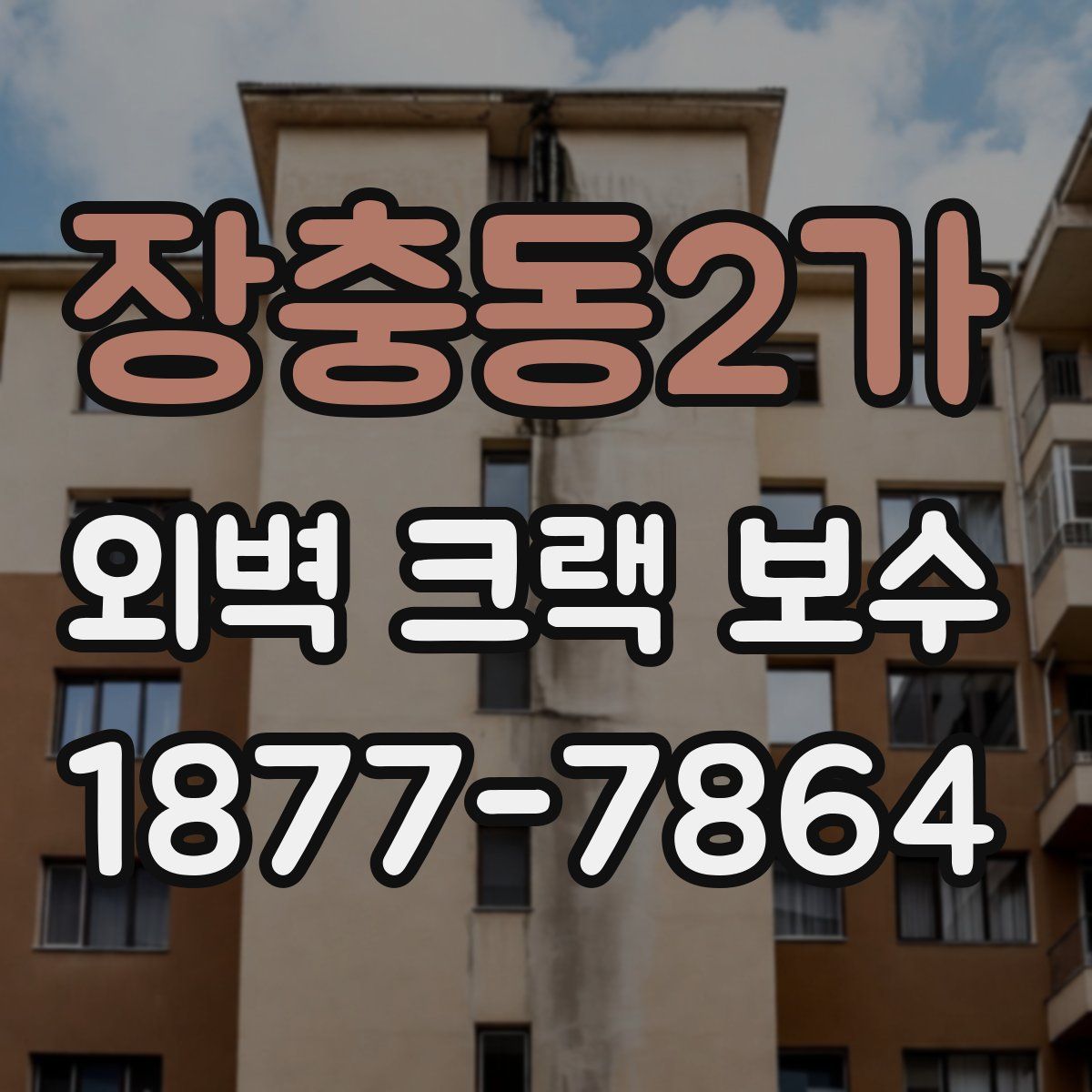 장충동2가 외벽 크랙 보수