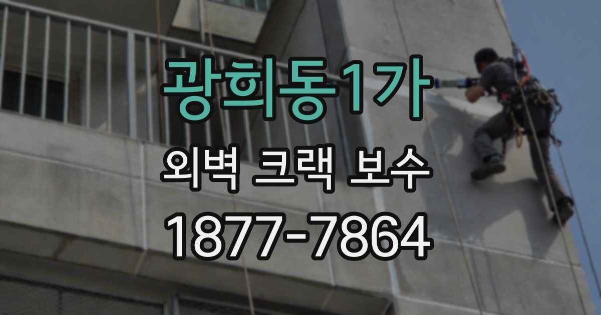 광희동1가 외벽 크랙 보수
