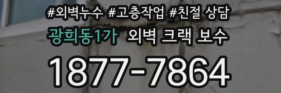광희동1가 외벽 크랙 보수