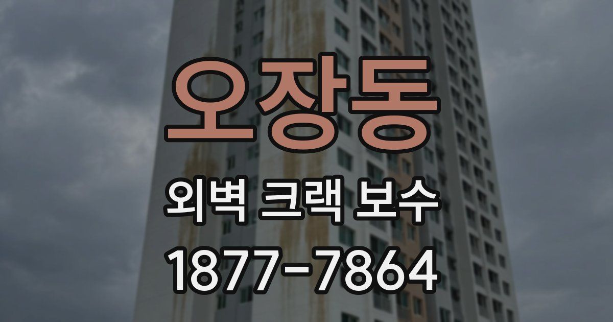 오장동 외벽 크랙 보수