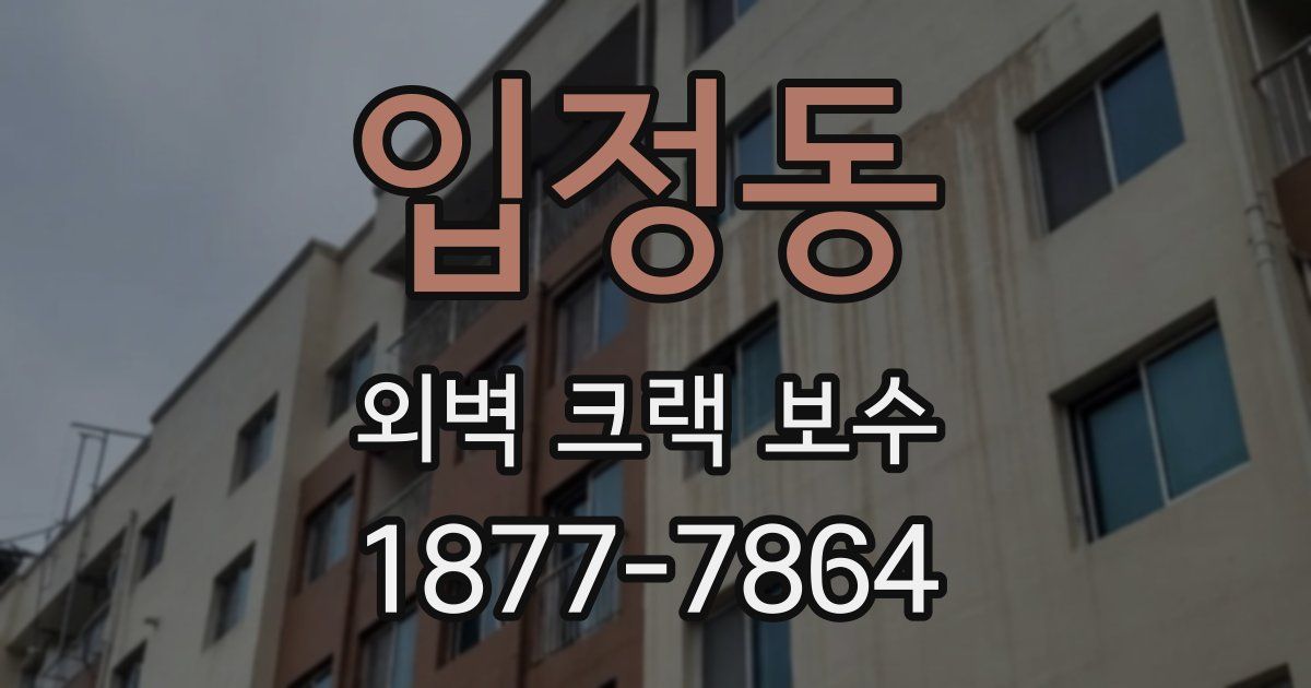입정동 외벽 크랙 보수