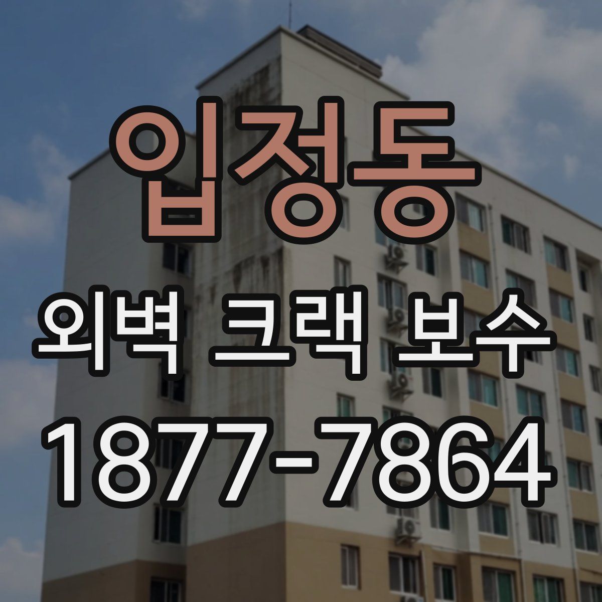입정동 외벽 크랙 보수