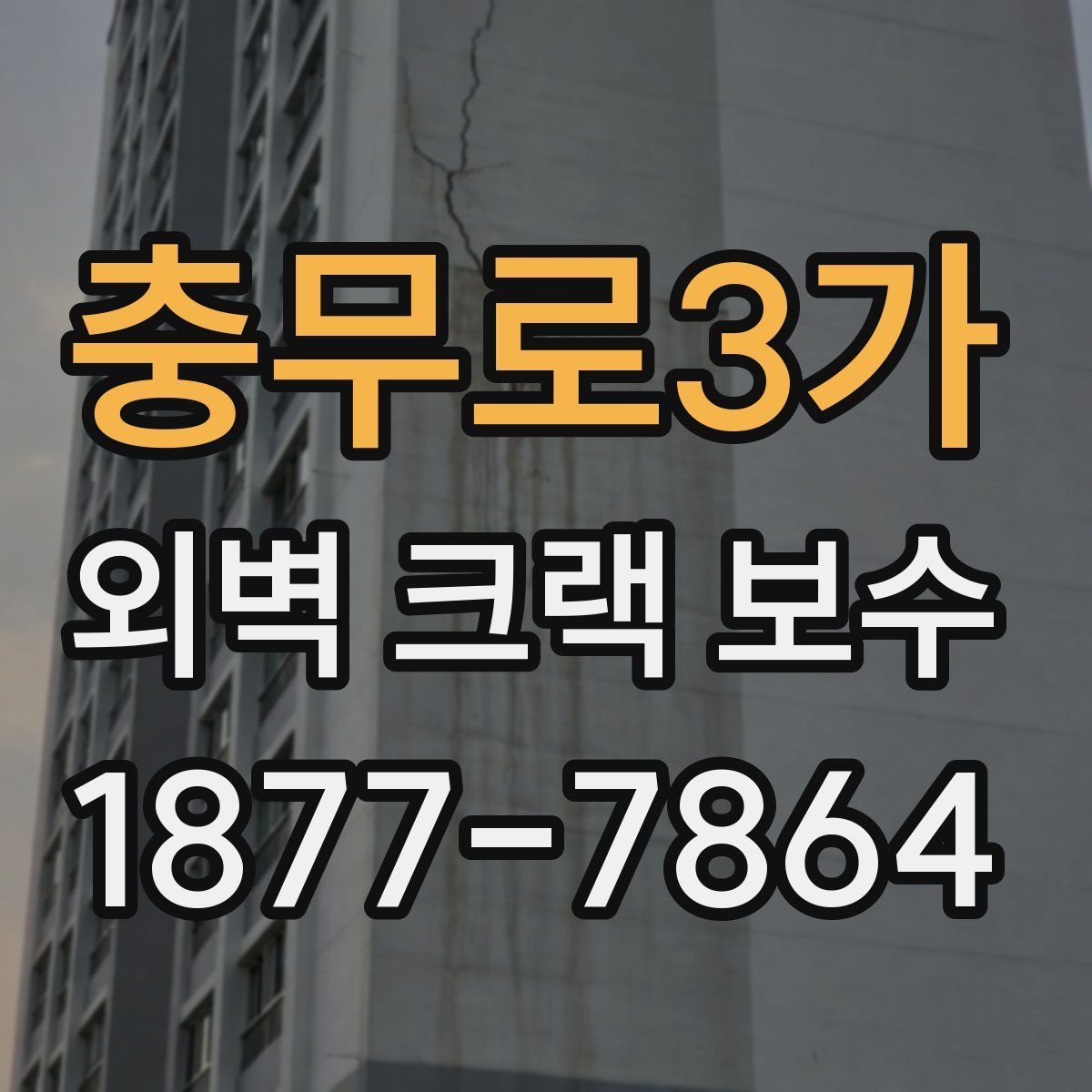 충무로3가 외벽 크랙 보수