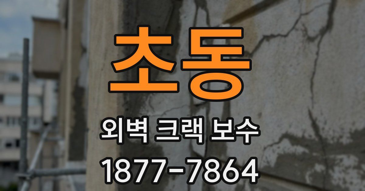 초동 외벽 크랙 보수
