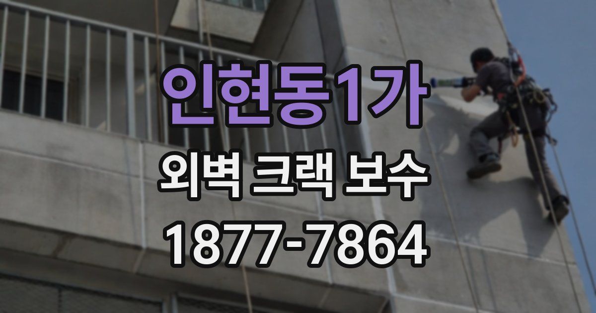 인현동1가 외벽 크랙 보수