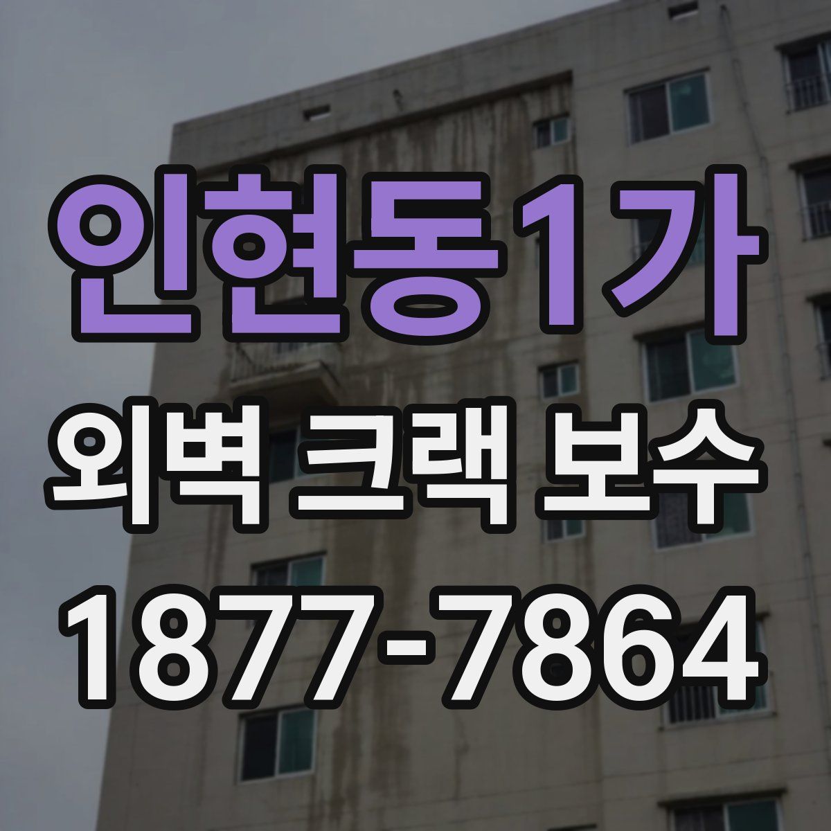 인현동1가 외벽 크랙 보수