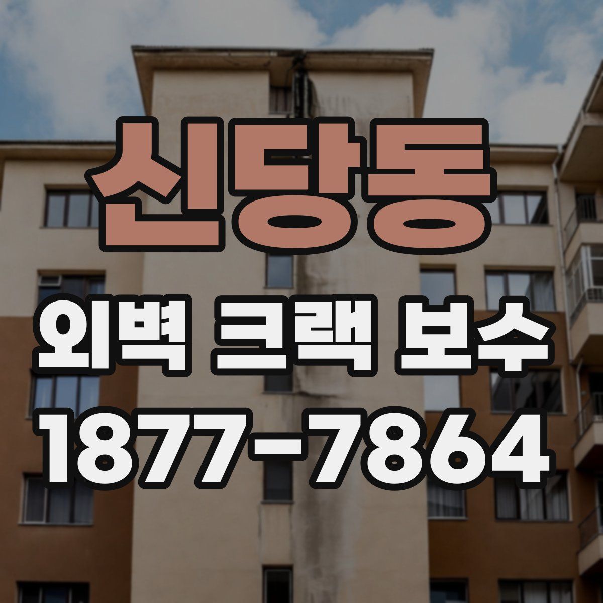 신당동 외벽 크랙 보수