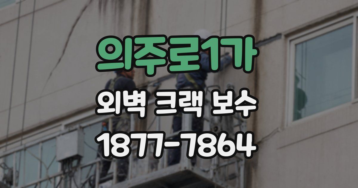 의주로1가 외벽 크랙 보수