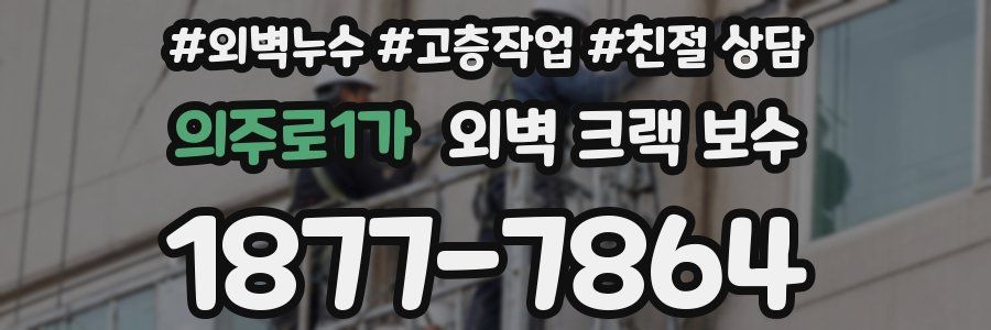 의주로1가 외벽 크랙 보수