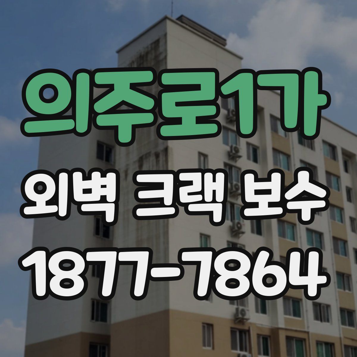 의주로1가 외벽 크랙 보수
