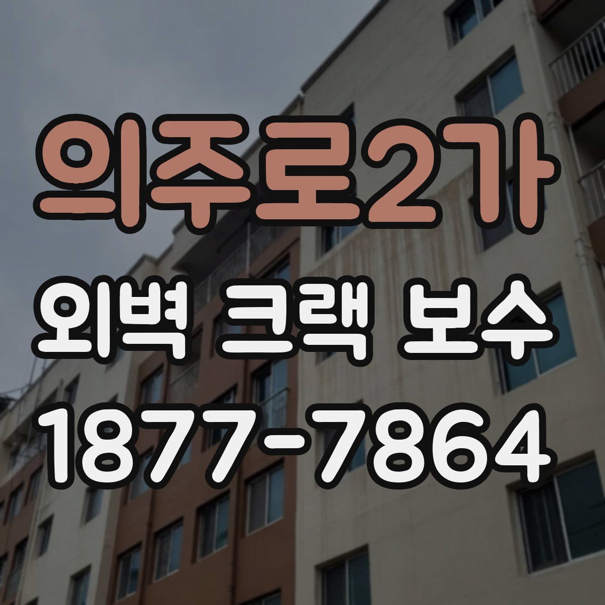 의주로2가 외벽 크랙 보수