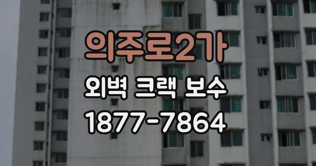의주로2가 외벽 크랙 보수