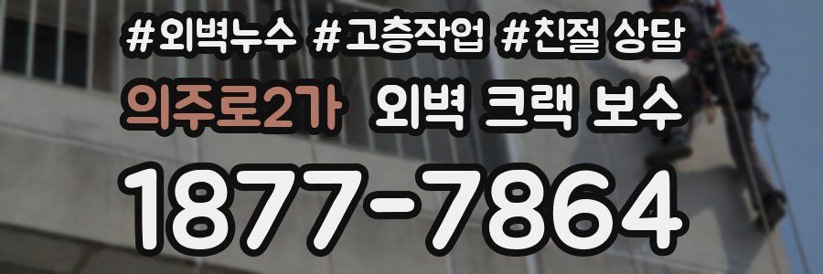 의주로2가 외벽 크랙 보수