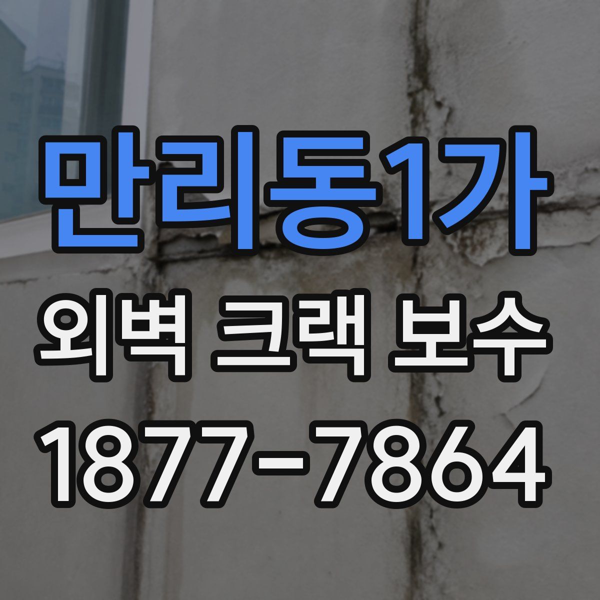 만리동1가 외벽 크랙 보수