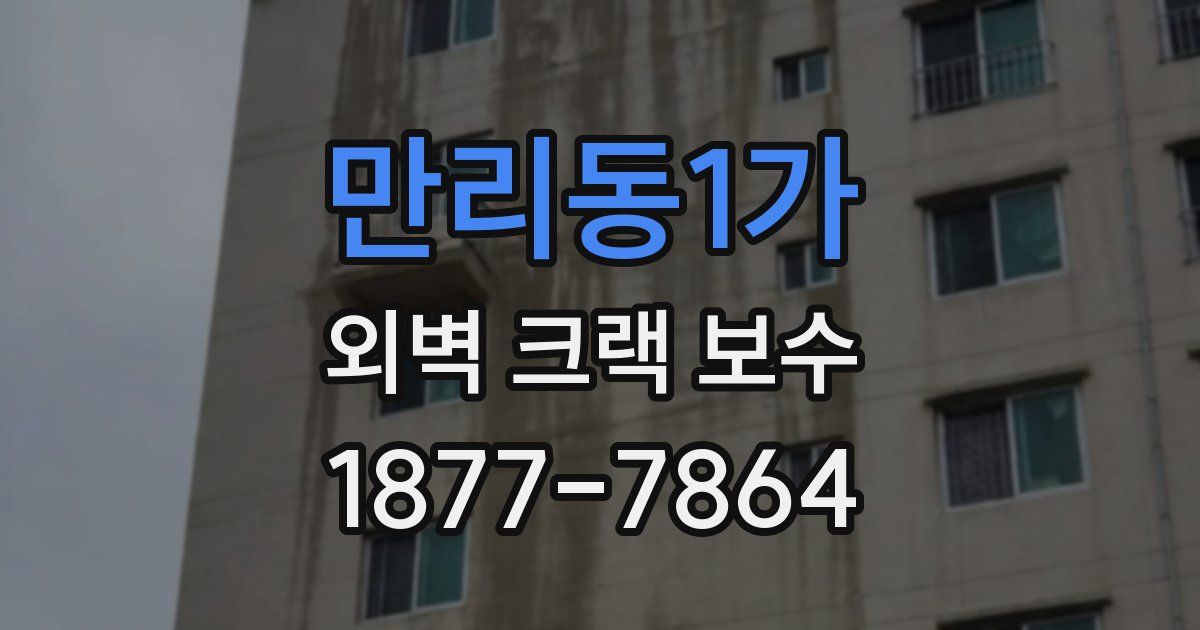 만리동1가 외벽 크랙 보수