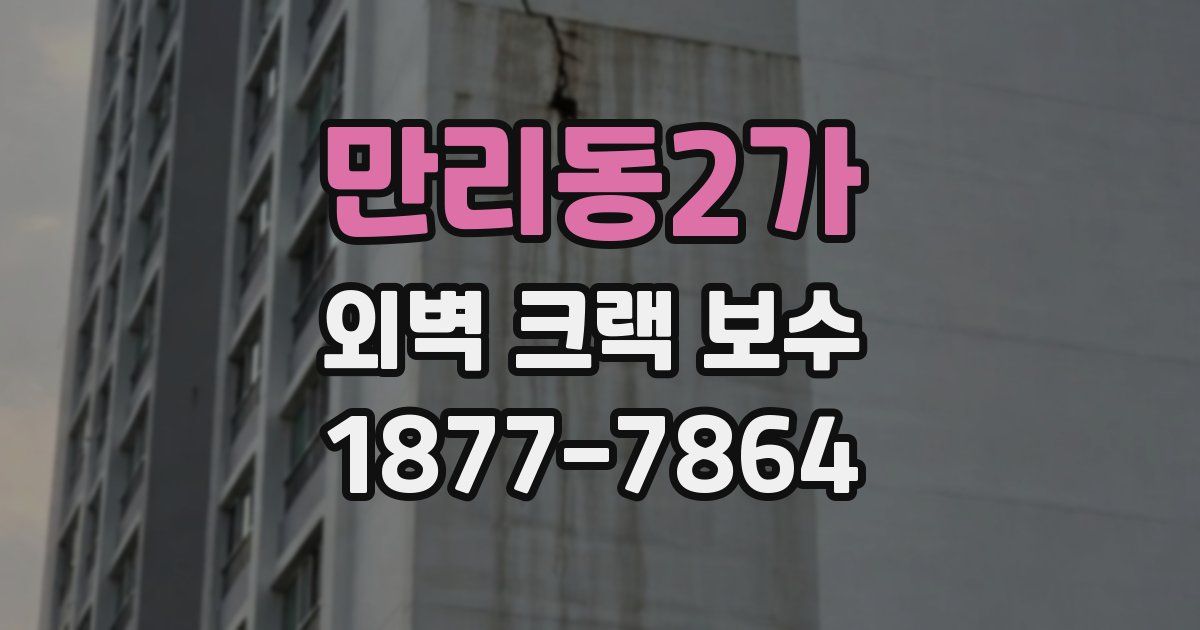 만리동2가 외벽 크랙 보수