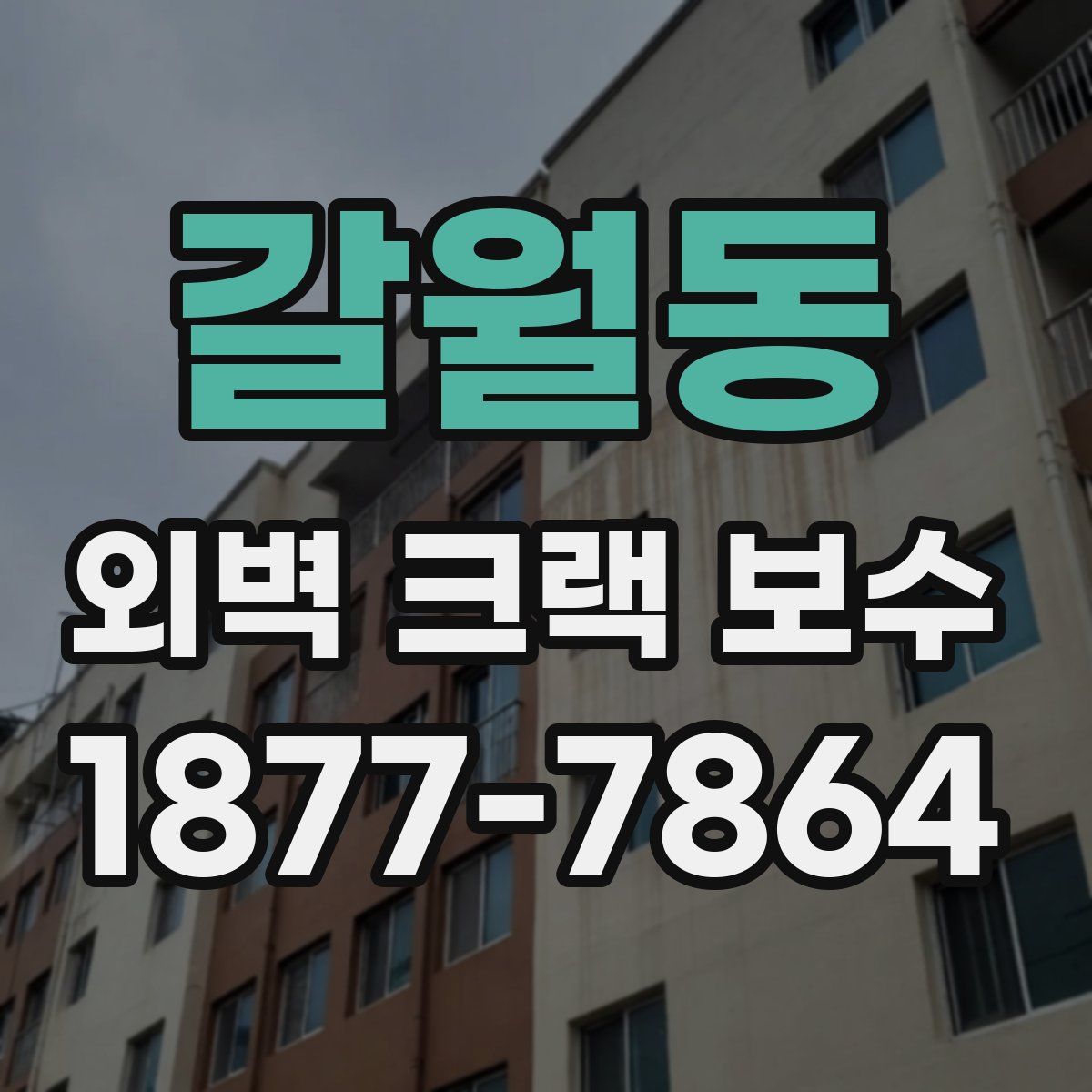 갈월동 외벽 크랙 보수