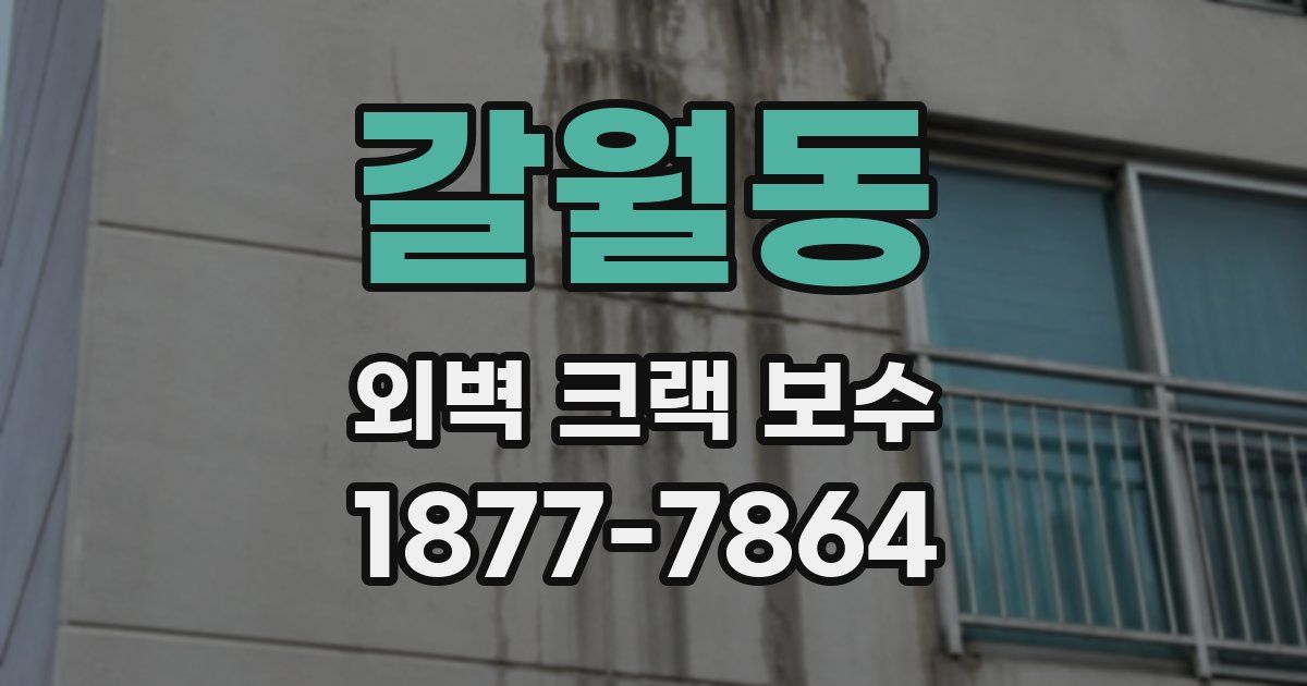 갈월동 외벽 크랙 보수