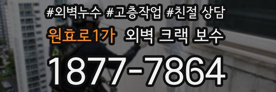 원효로1가 외벽 크랙 보수