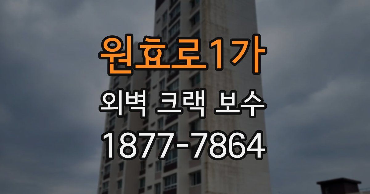 원효로1가 외벽 크랙 보수
