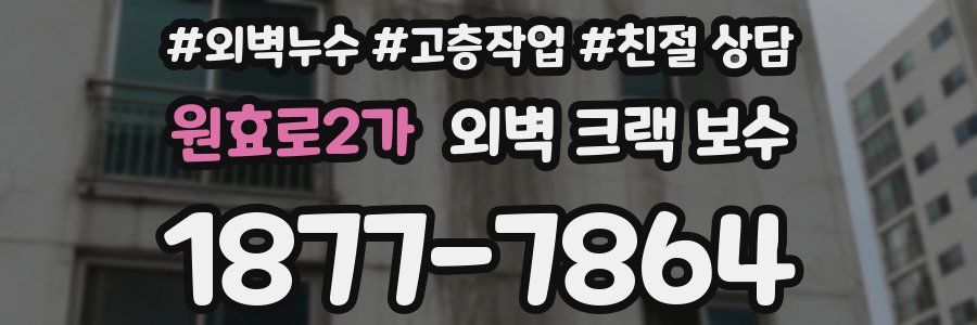 원효로2가 외벽 크랙 보수