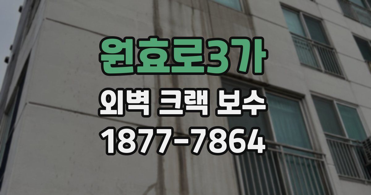 원효로3가 외벽 크랙 보수
