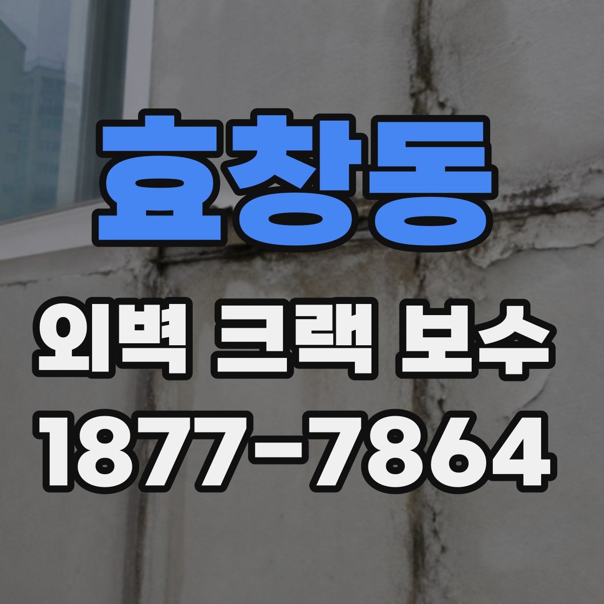 효창동 외벽 크랙 보수