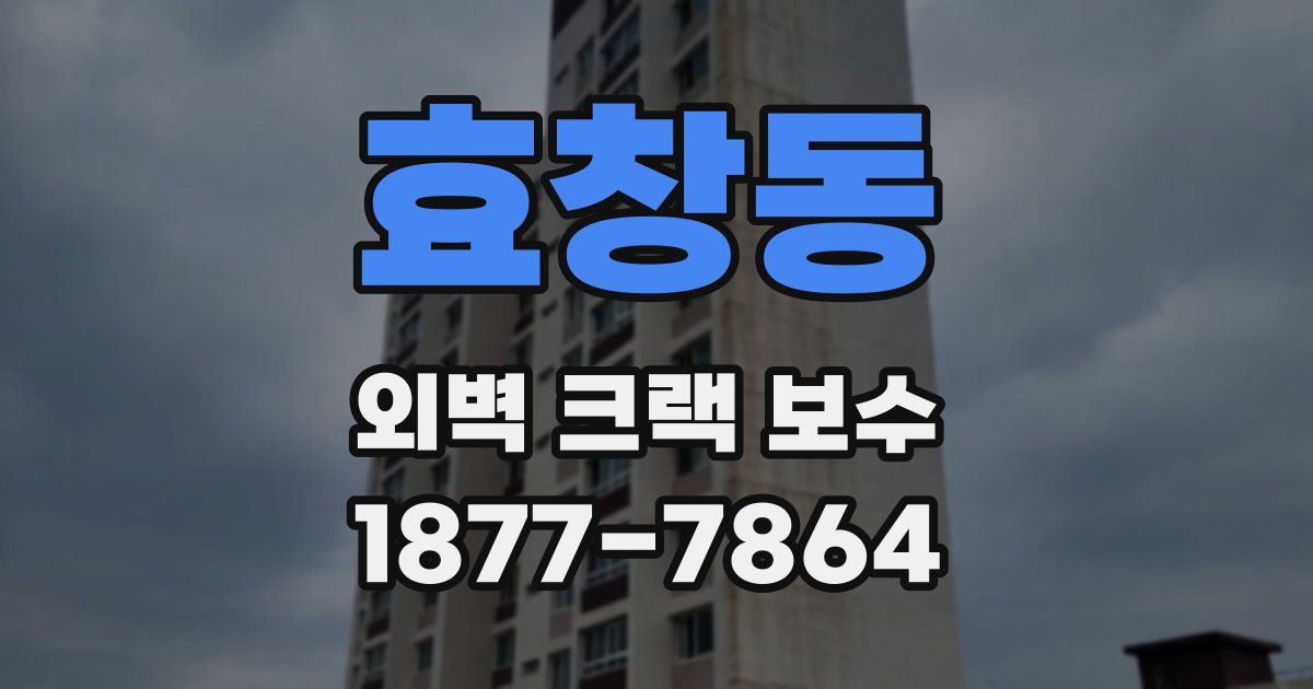 효창동 외벽 크랙 보수