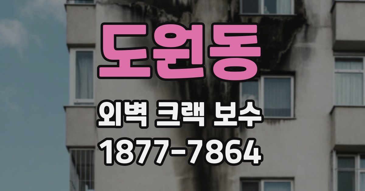 도원동 외벽 크랙 보수