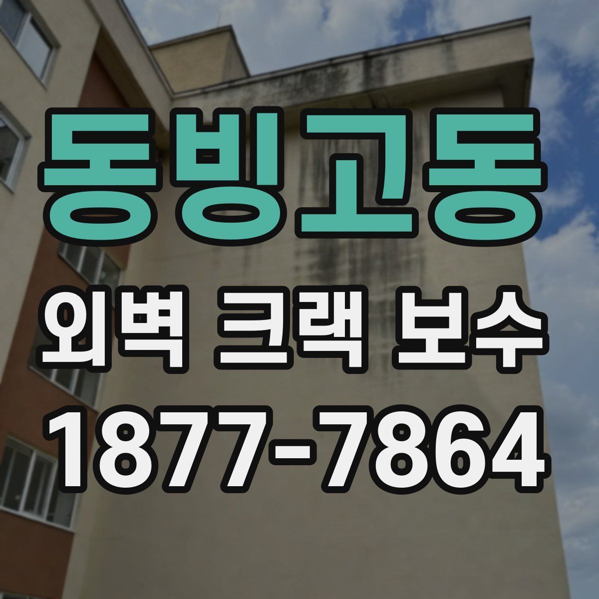 동빙고동 외벽 크랙 보수