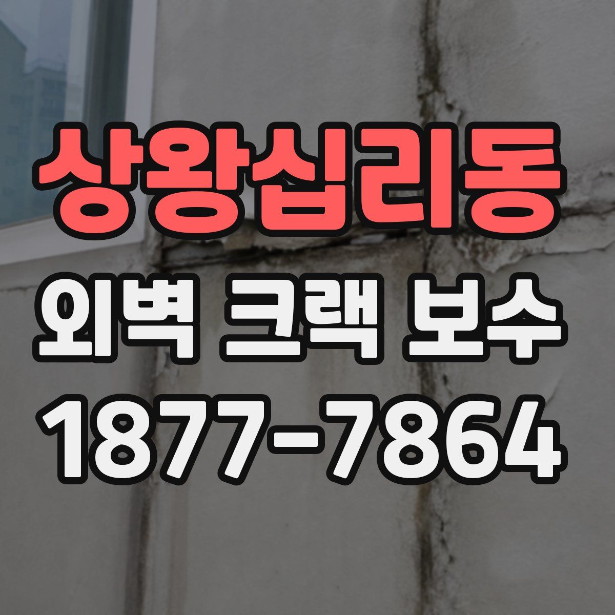 상왕십리동 외벽 크랙 보수
