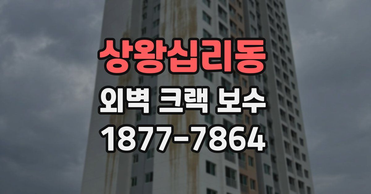 상왕십리동 외벽 크랙 보수
