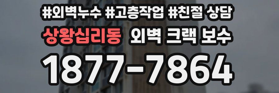 상왕십리동 외벽 크랙 보수