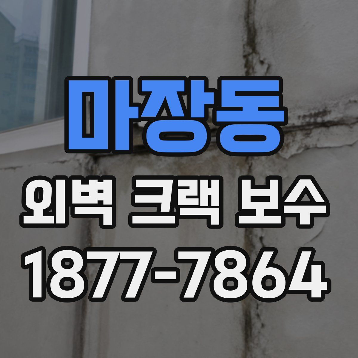 마장동 외벽 크랙 보수