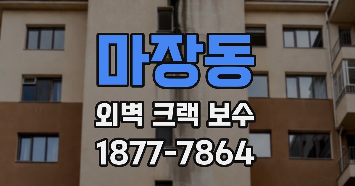 마장동 외벽 크랙 보수