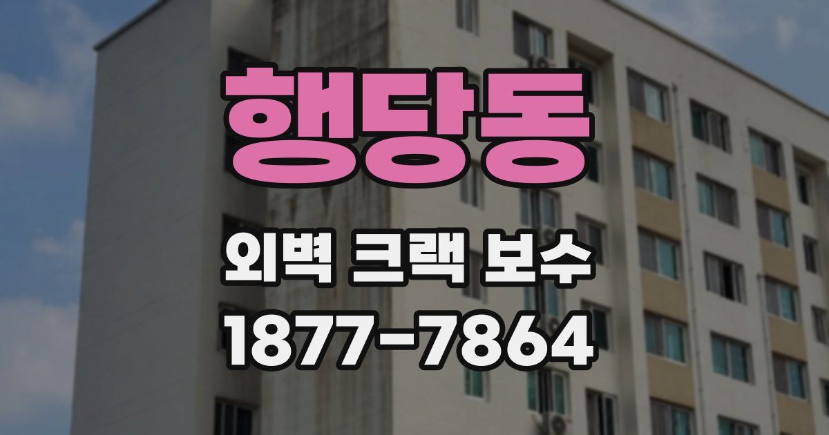 행당동 외벽 크랙 보수