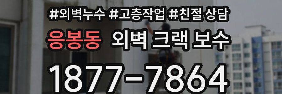 응봉동 외벽 크랙 보수