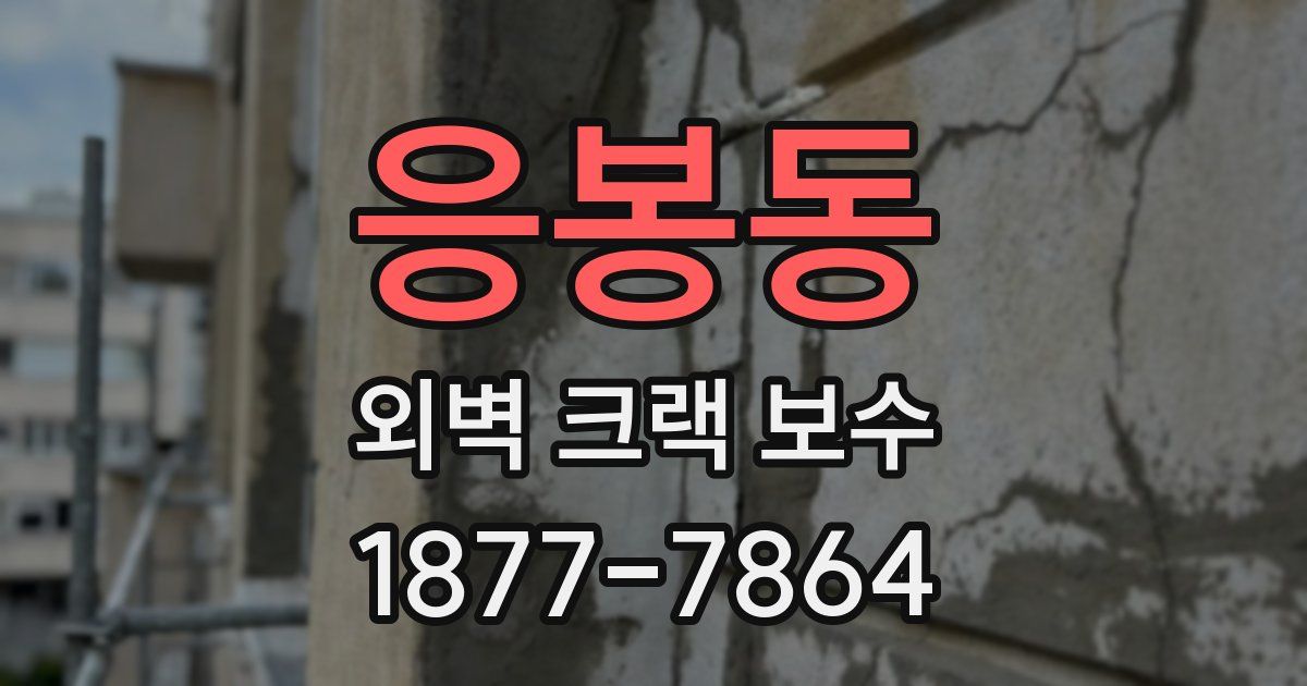 응봉동 외벽 크랙 보수