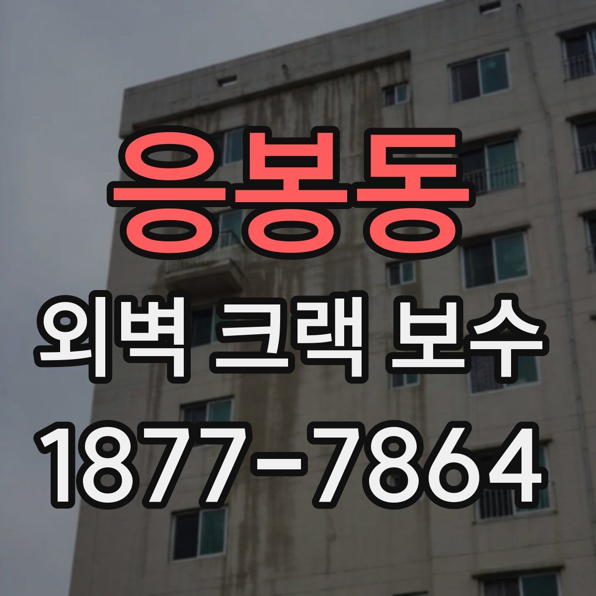 응봉동 외벽 크랙 보수