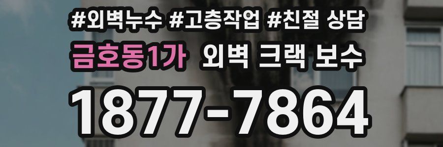 금호동1가 외벽 크랙 보수