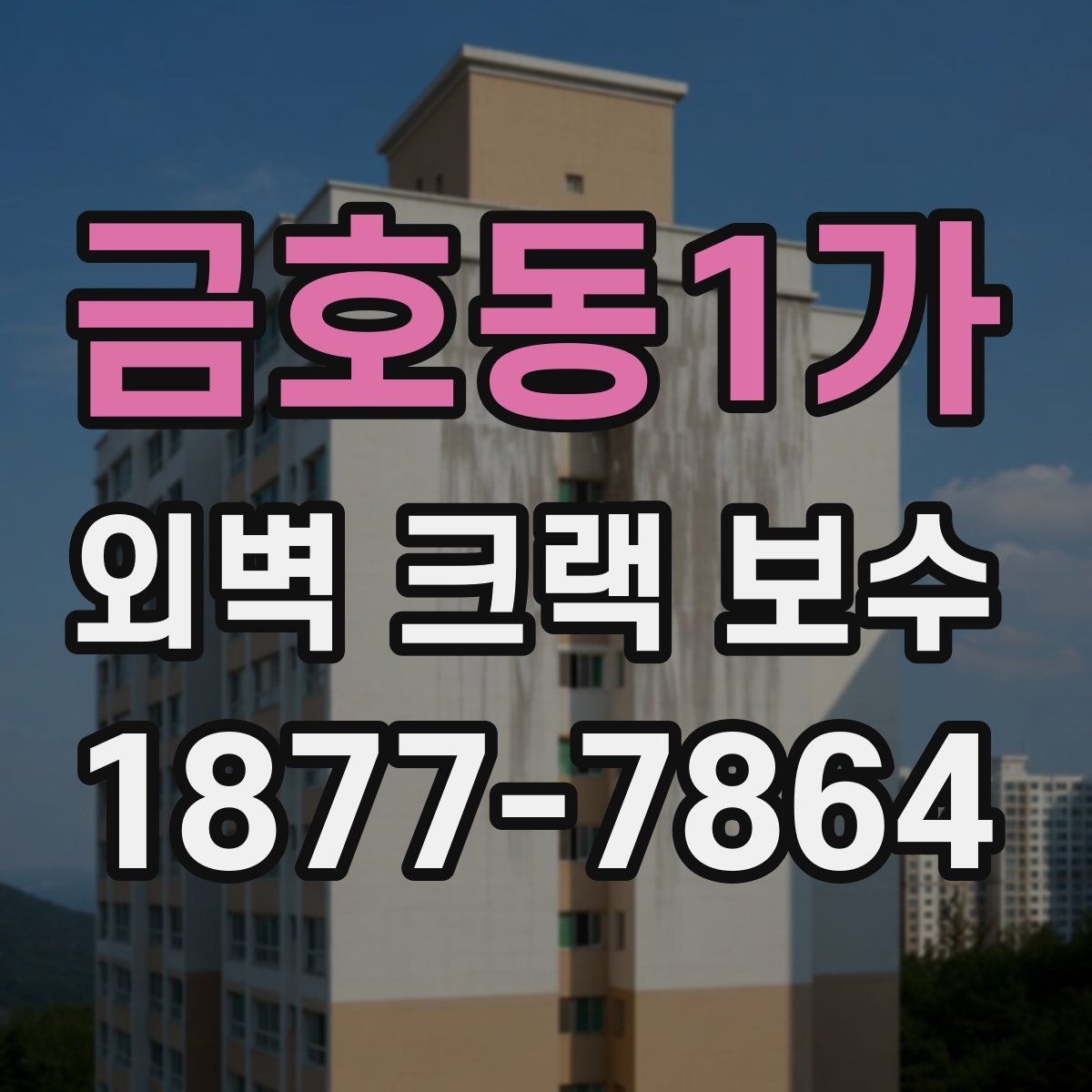 금호동1가 외벽 크랙 보수