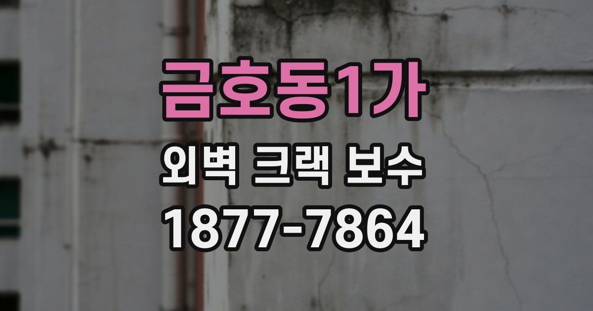 금호동1가 외벽 크랙 보수